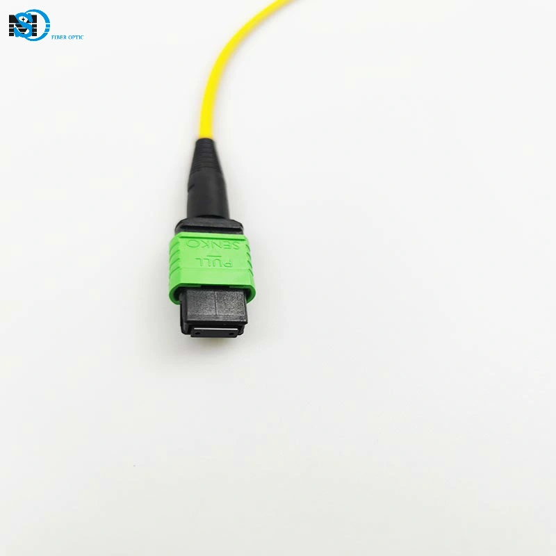 Fibe Patch Cord MPO/APC-MPO-APC Sm G657A1 12 Fiber LSZH 20cm